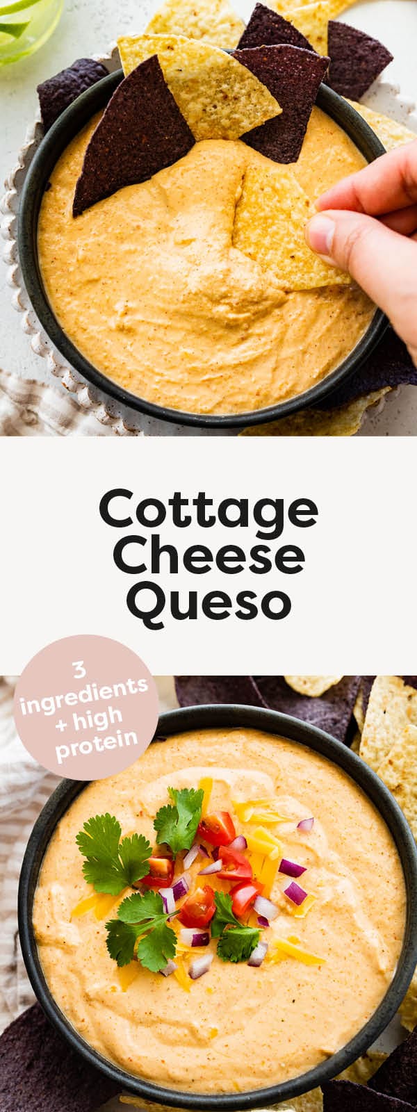 High Protein Cottage Cheese Queso - Eating Bird Food