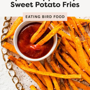 Air Fryer Sweet Potato Fries on a plate with ketchup. Two fries are in the ketchup.